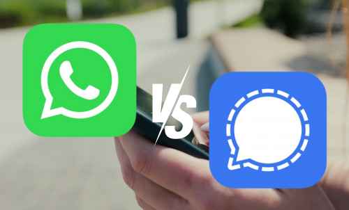 Signal vs WhatsApp: What's Better For Businesses?